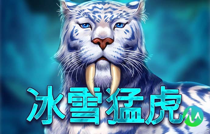 今年会体育app下载